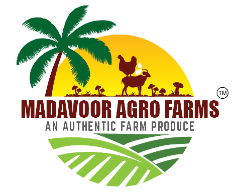 Digital Wordings First Demo