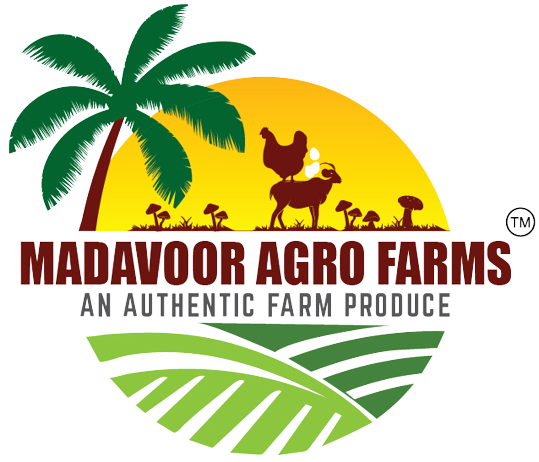 Digital Wordings First Demo